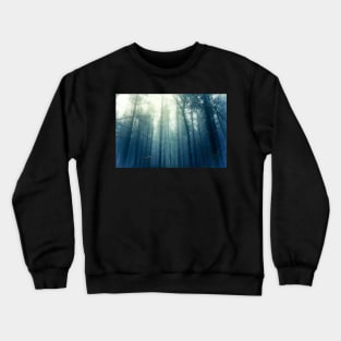 Light through the pines Crewneck Sweatshirt